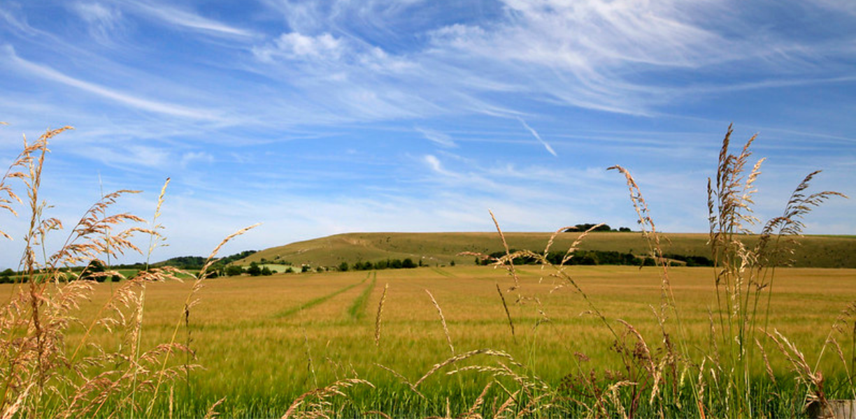 Vale of Pewsey Countryside
